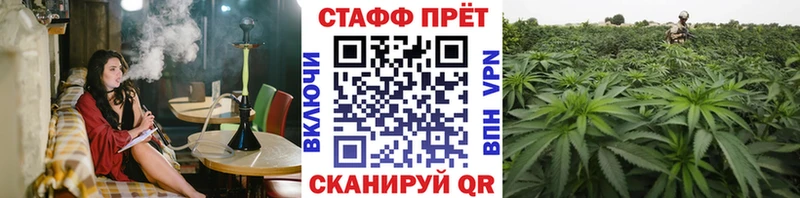 Названия наркотиков Новоаннинский Cocaine  OMG маркетплейс  Галлюциногенные грибы  Каннабис  МДМА  ГАШИШ  Мефедрон 