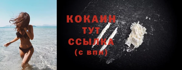 прущая мука Няндома