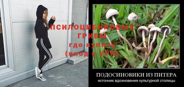 прущая мука Няндома