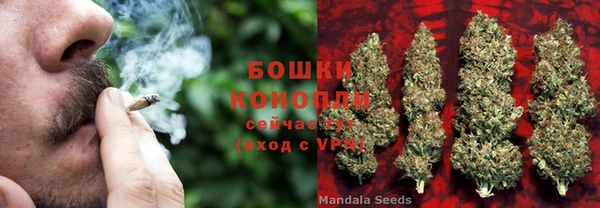 МДПВ Новозыбков