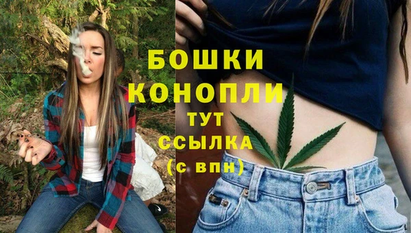 МДПВ Нягань
