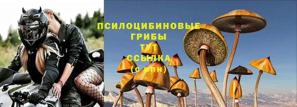 МДПВ Новозыбков